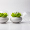 Контейнер для хранения ватных палочек lotus белый-зеленый